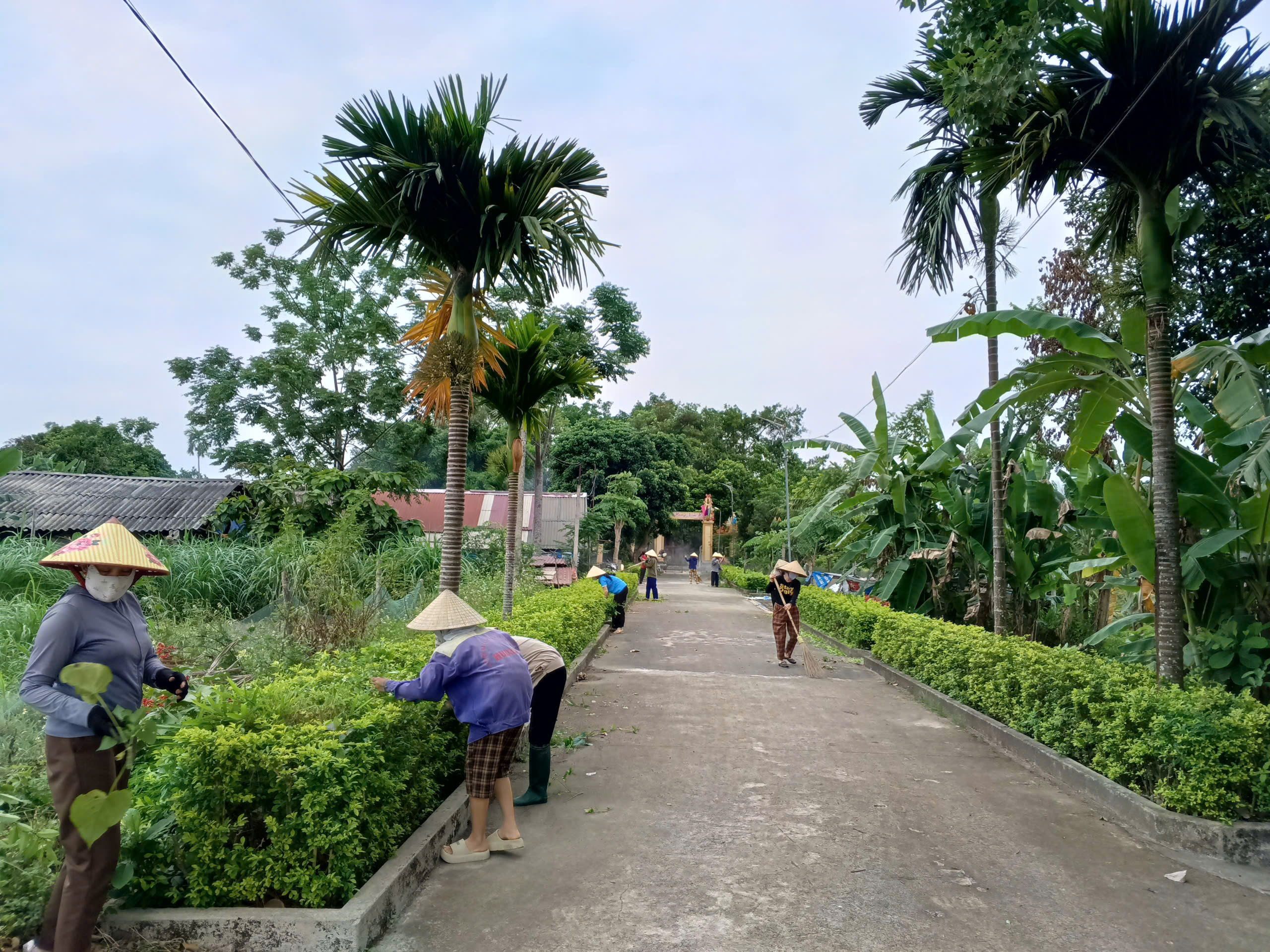 Anh-tin-bai