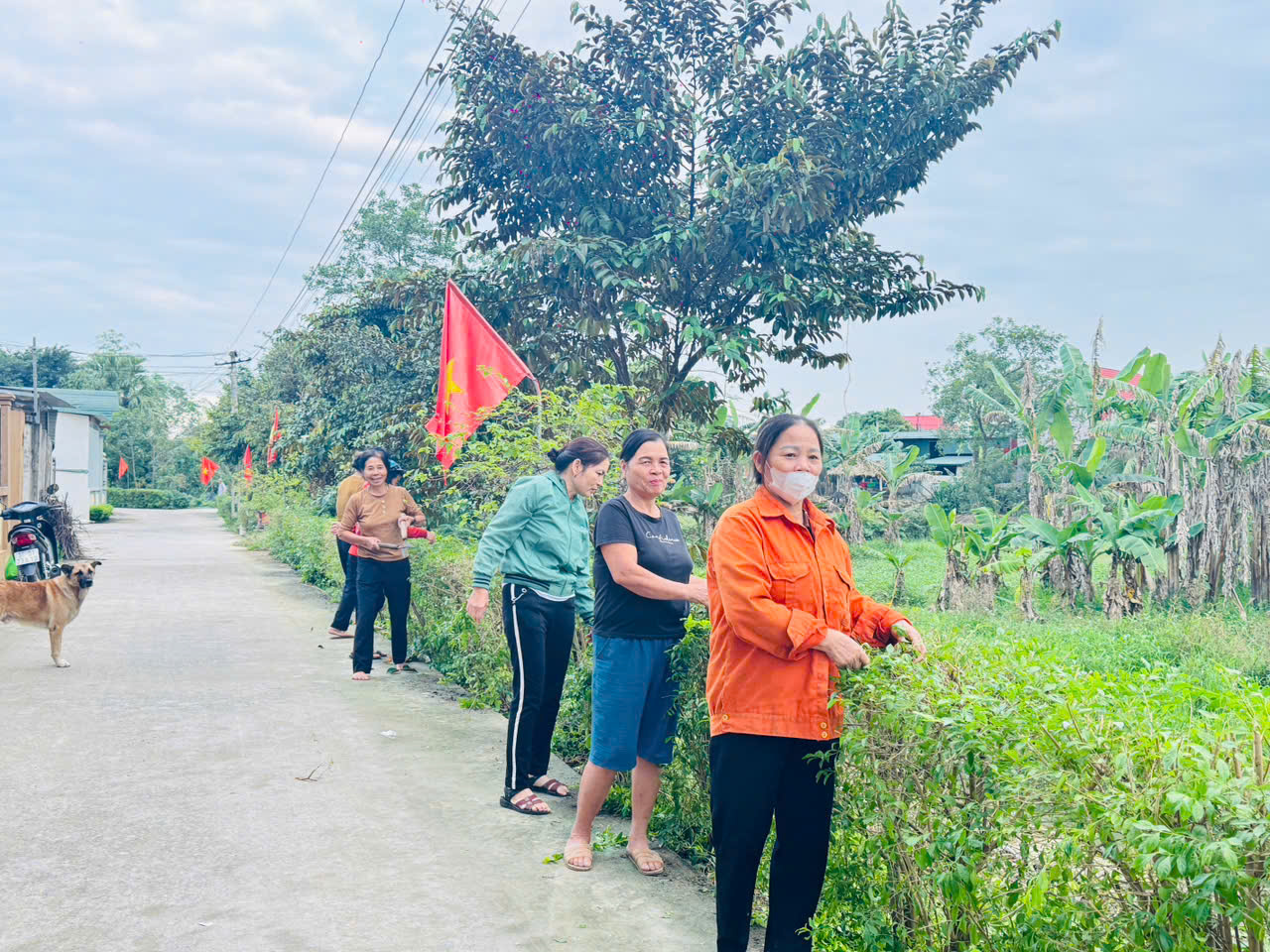 Anh-tin-bai