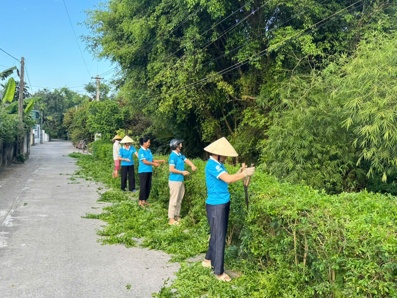 Anh-tin-bai