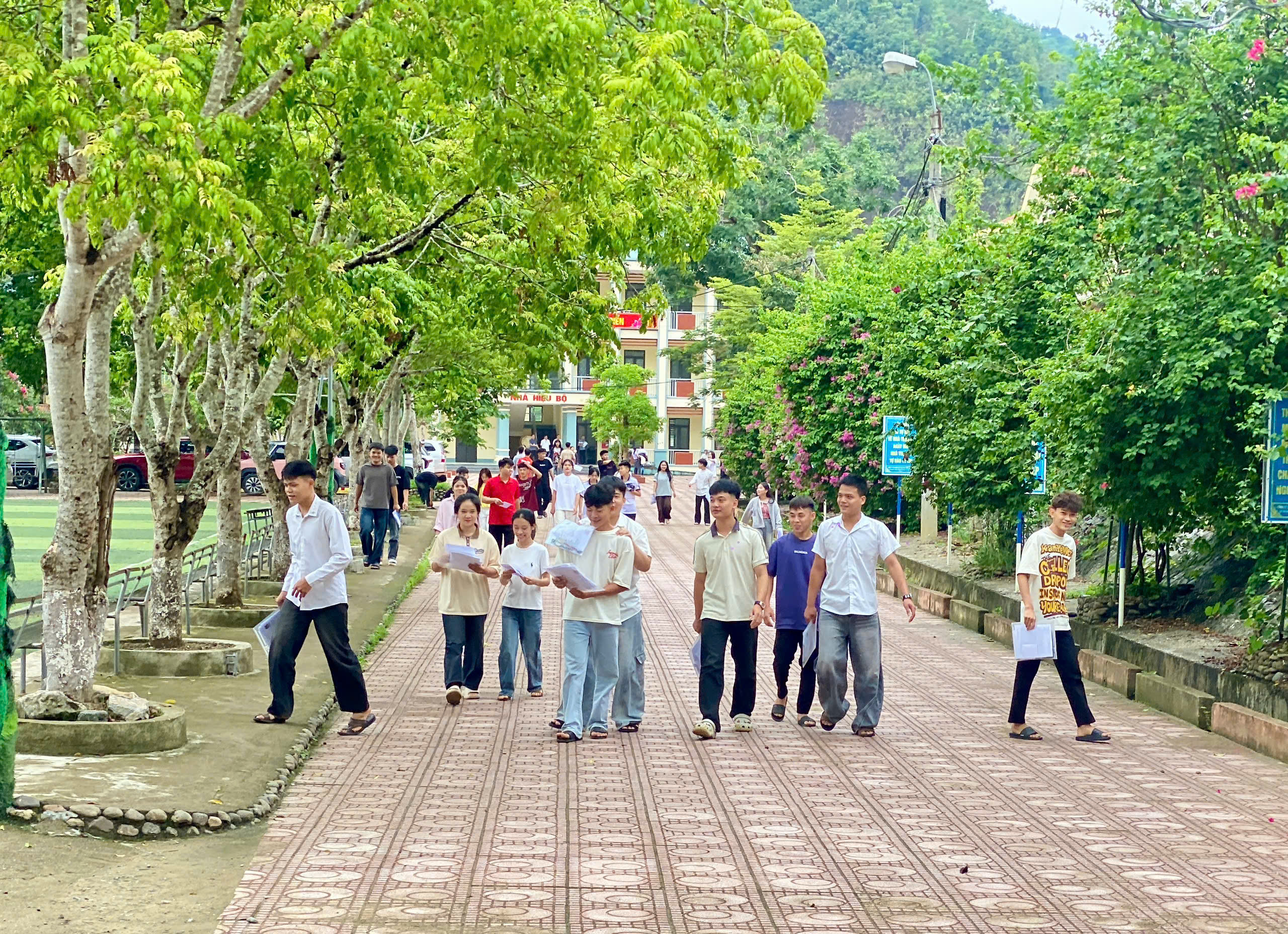 Anh-tin-bai