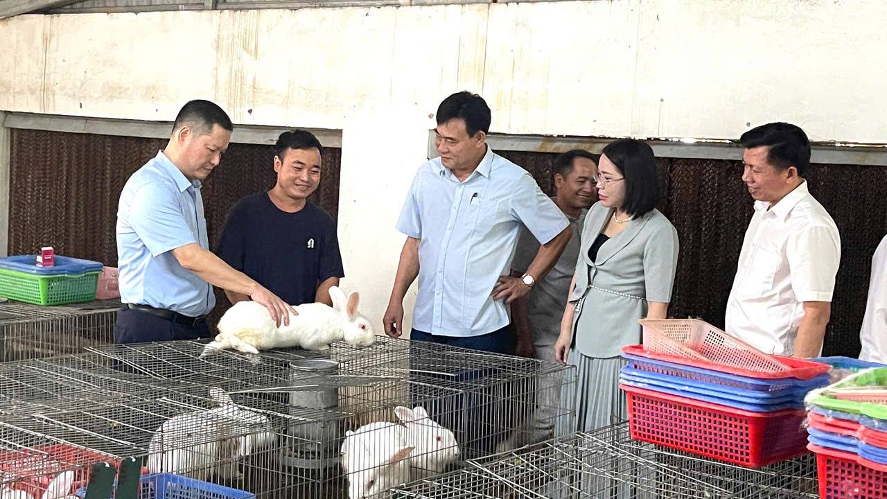 HỘI NÔNG DÂN TỈNH THANH HÓA TỔ CHỨC TẬP HUẤN NÂNG CAO NĂNG LỰC QUẢN LÝ CHO CÁN BỘ HỘI VÀ ĐÀO TẠO CHẤT LƯỢNG NGUỒN NHÂN LỰC
