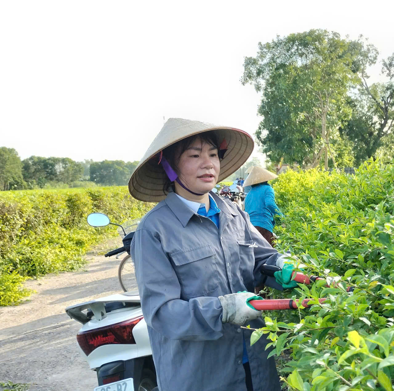 Anh-tin-bai