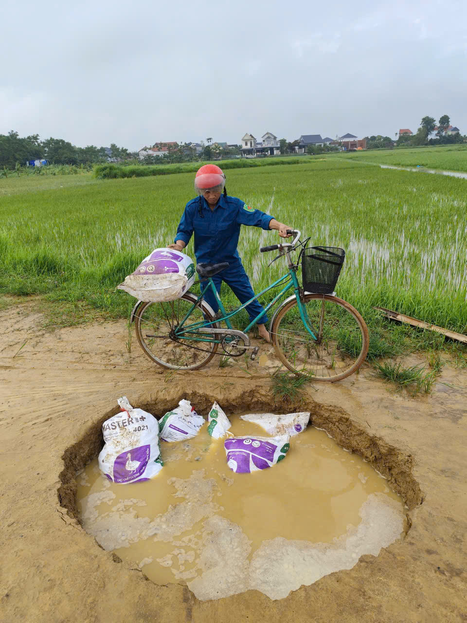 Anh-tin-bai
