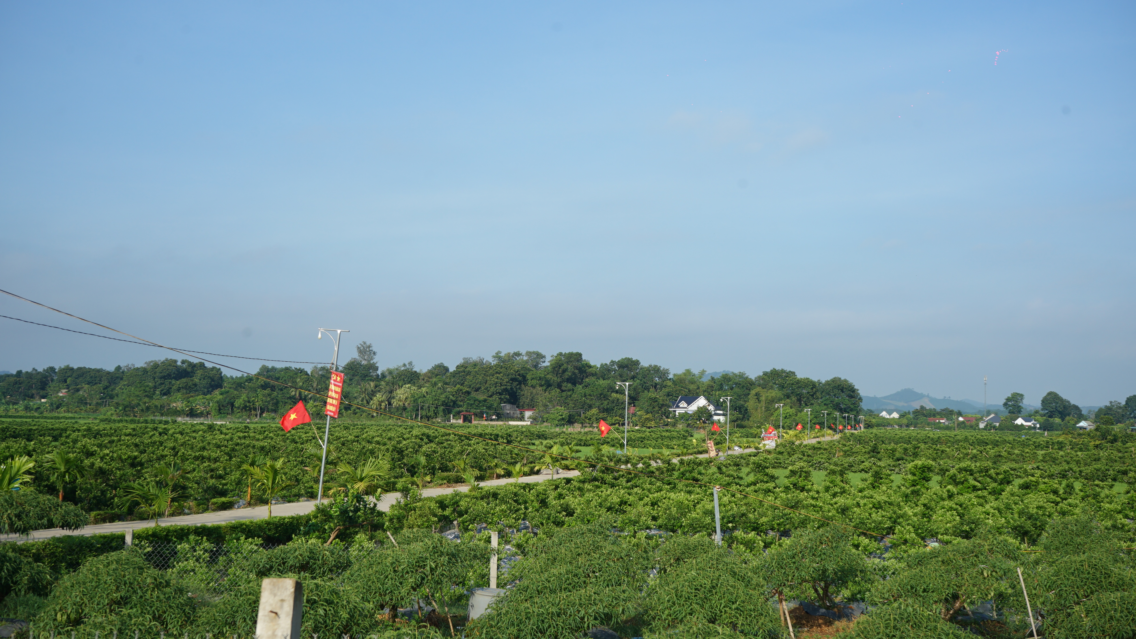 BÀI TUYÊN TRUYỀN PHÂN LOẠI VÀ XỬ LÝ RÁC THẢI HỮU CƠ TẠI NGUỒN