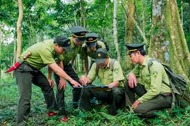 Chào mừng kỷ niệm 52 năm ngày thành lập Lực lượng Kiểm lâm Việt Nam  (21/5/1973 - 21/5/2025)