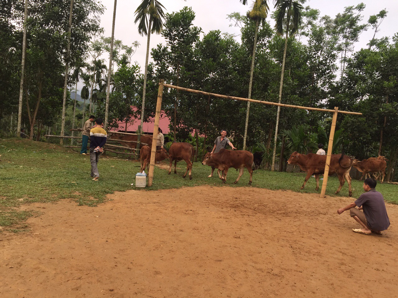 IMG-7360.JPG