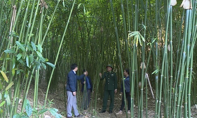 moi-nhiem-vu-tai-yen-khuong-deu-huong-toi-xay-dung-thanh-cong-xa-nong-thon-moi_65f97897e454a.jpg