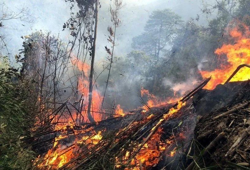 CẢNH BÁO NGUY CƠ CHÁY RỪNG DO THỜI TIẾT NẮNG NÓNG TRÊN ĐỊA BÀN XÃ ĐỒNG LƯƠNG 