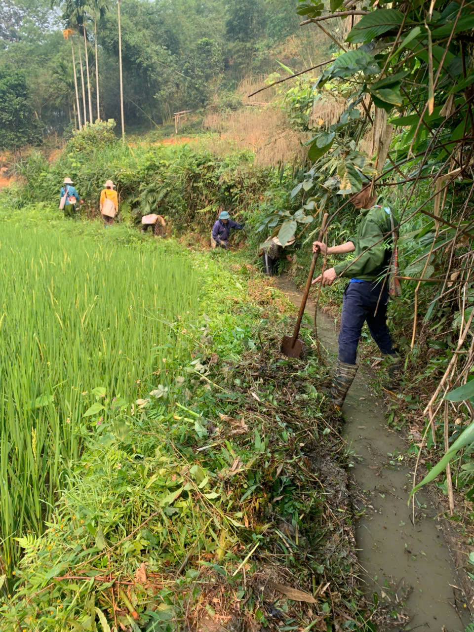 Thôn Tân Phong khơi thông tuyến mương Hóa, đảm bảo nước tưới cho hơn 8,2ha lúa giữa mùa nắng nóng.