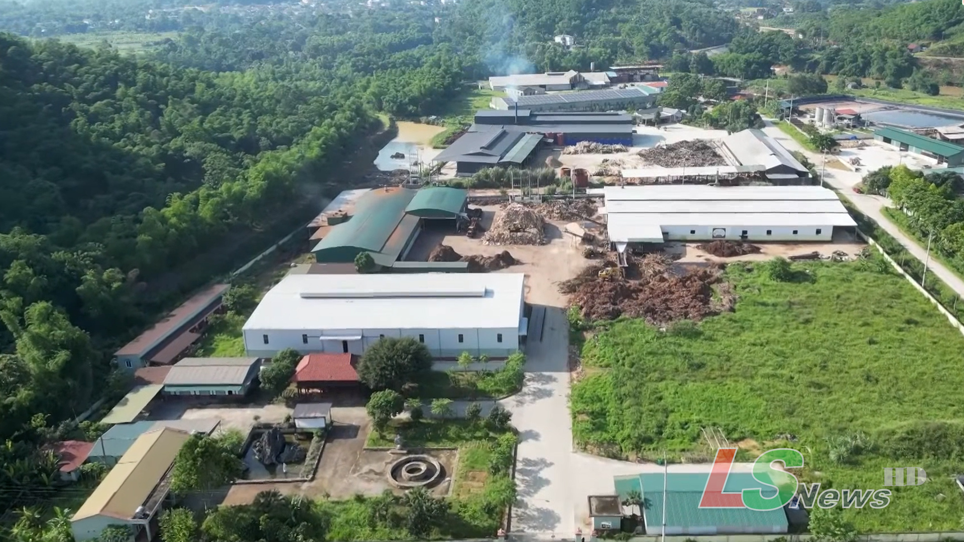 Linh Sơn trồng rừng gắn với chế biến