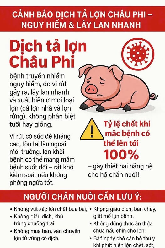 CẢNH BÁO DỊCH TẢ LỢN CHÂU PHI – NGUY HIỂM &amp; LÂY LAN NHANH