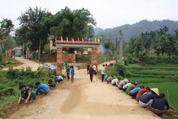 PHONG TRÀO " SÁNG - XANH - SẠCH - ĐẸP " TRỒNG HÀNG RÀO XANH, CHỈNH TRANG NHÀ Ở CỦA  UBMTTQ XÃ VĂN PHÚ. 
