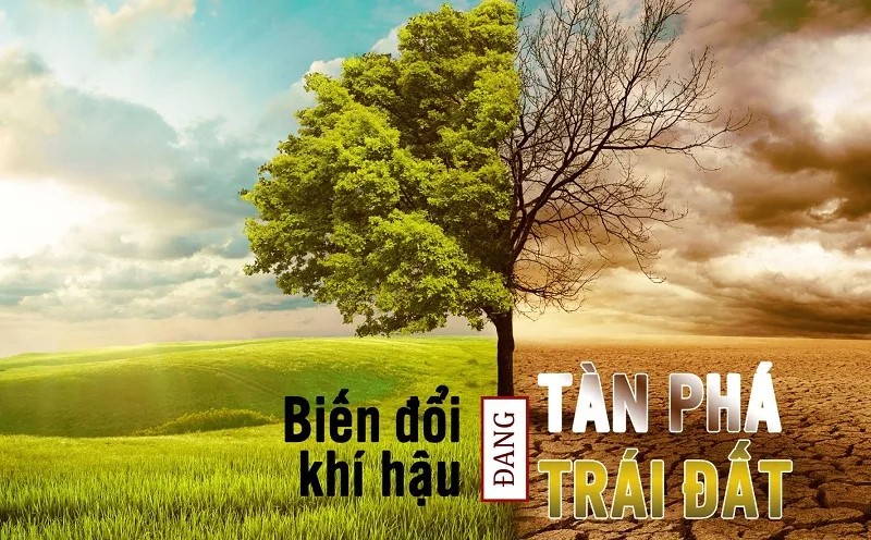 Toàn cầu chung tay hành động vì khí hậu
