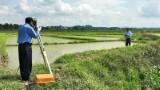 Công văn hướng dẫn trình tự, thủ tục và hồ sơ nộp tiền bảo vệ phát triển đất trồng lúa nước sang mục đích phi nông nghiệp