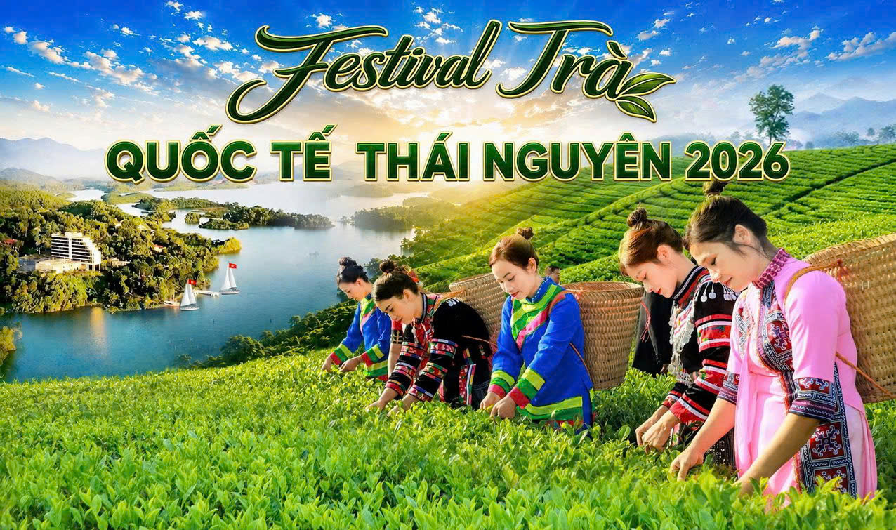 image advertisement