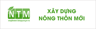 image advertisement