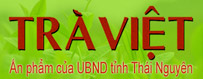 image advertisement