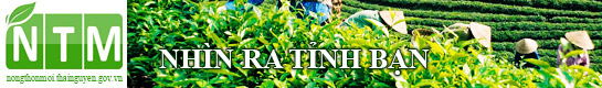 image advertisement