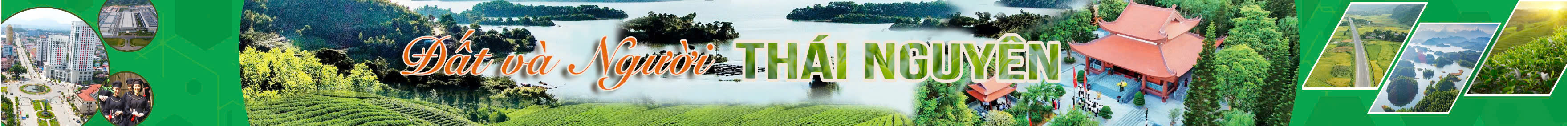 image advertisement