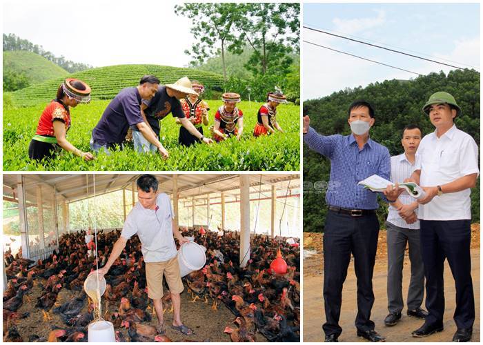 Đồng Hỷ tạo bứt phá, thực hiện mục tiêu phát triển nhanh và bền vững