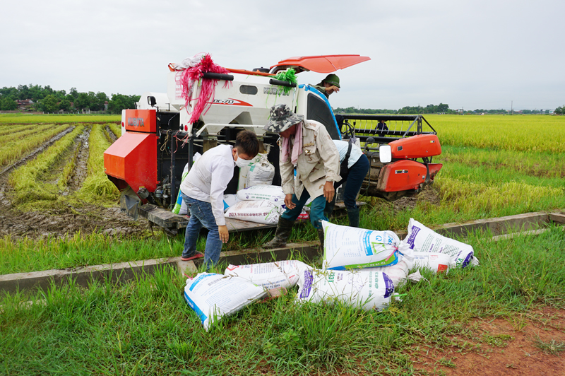Nông nghiệp, nông thôn ngày càng khởi sắc