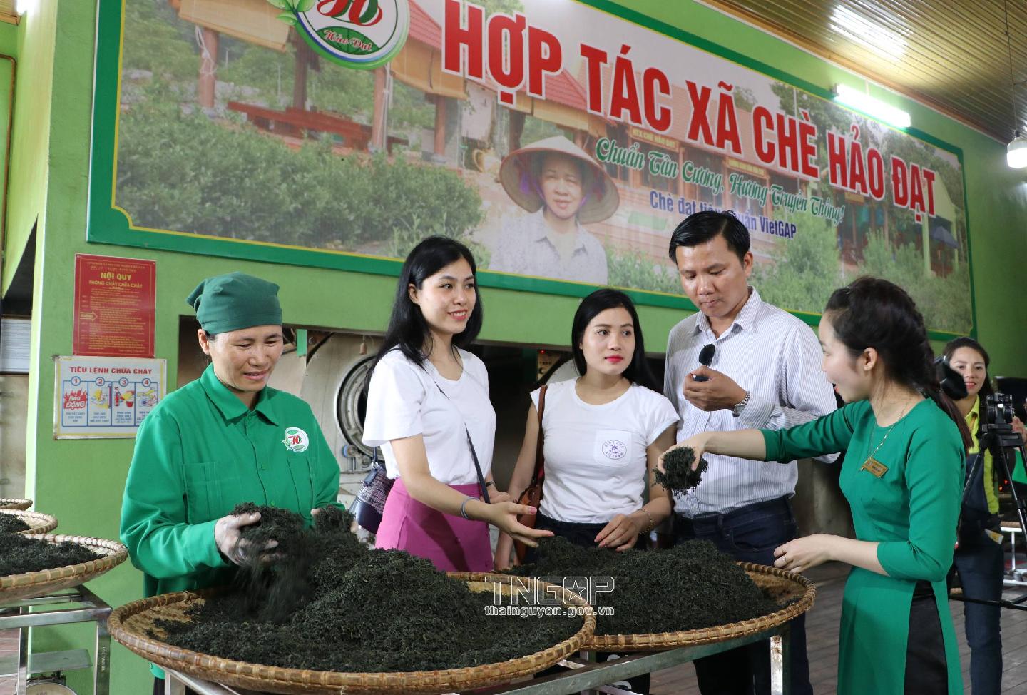 Thành phố Thái Nguyên: Nhiều tiềm năng lợi thế phát triển du lịch