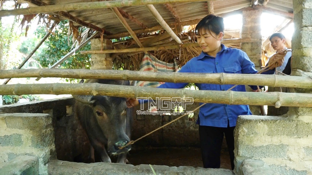 Hỗ trợ con giống - "bàn đạp" để người dân phát triển kinh tế, vươn lên thoát nghèo