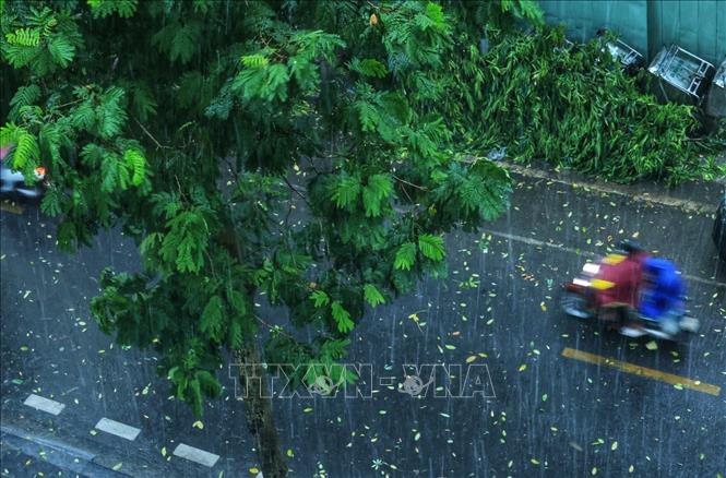 Kỳ thi tốt nghiệp THPT 2025: Bắc Bộ, Nam Bộ có mưa, cục bộ có nơi mưa to