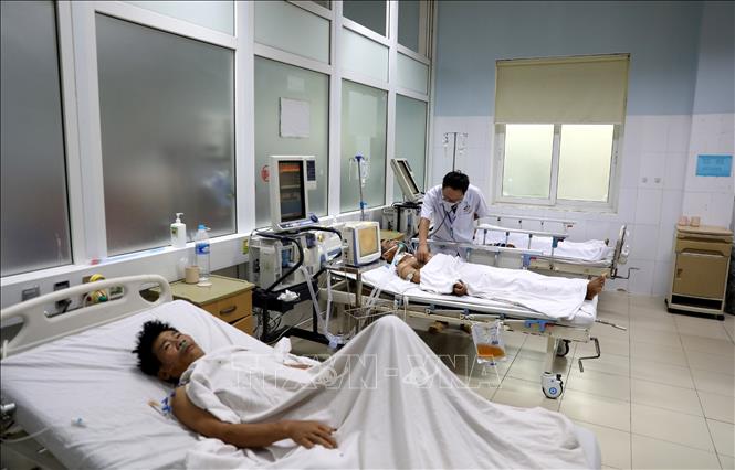 Sáu người nhập viện trong tình trạng nguy kịch do ngộ độc rượu ngâm rễ cây