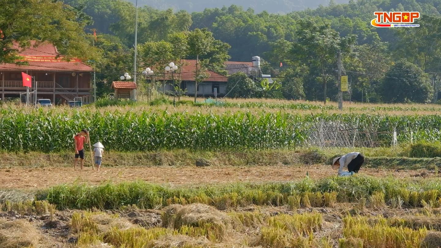 Về Tân Đô nghe nhà sàn “kể chuyện”