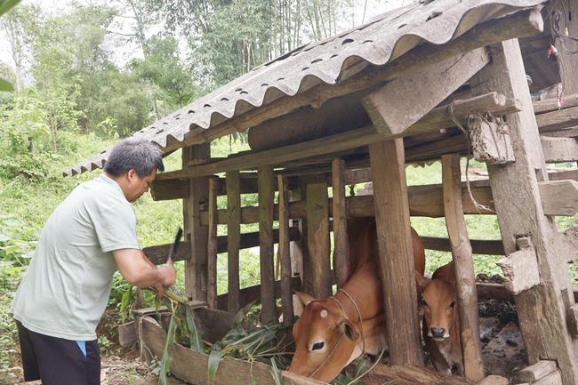 Thái Nguyên: Tạo sinh kế bền vững cho đồng bào dân tộc thiểu số vươn lên thoát nghèo