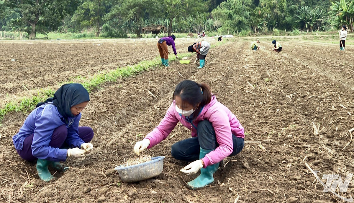 Ba Bể nỗ lực giảm nghèo, hướng tới nông thôn mới