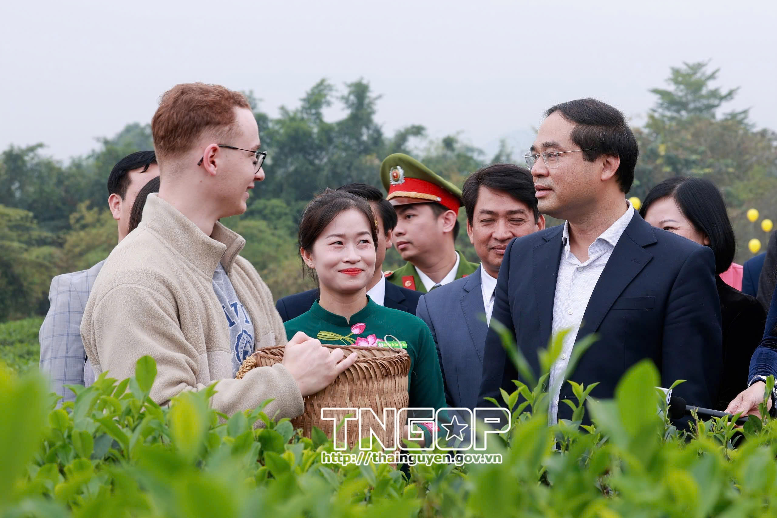 Tưng bừng Cuộc thi Bàn tay vàng chế biến chè
