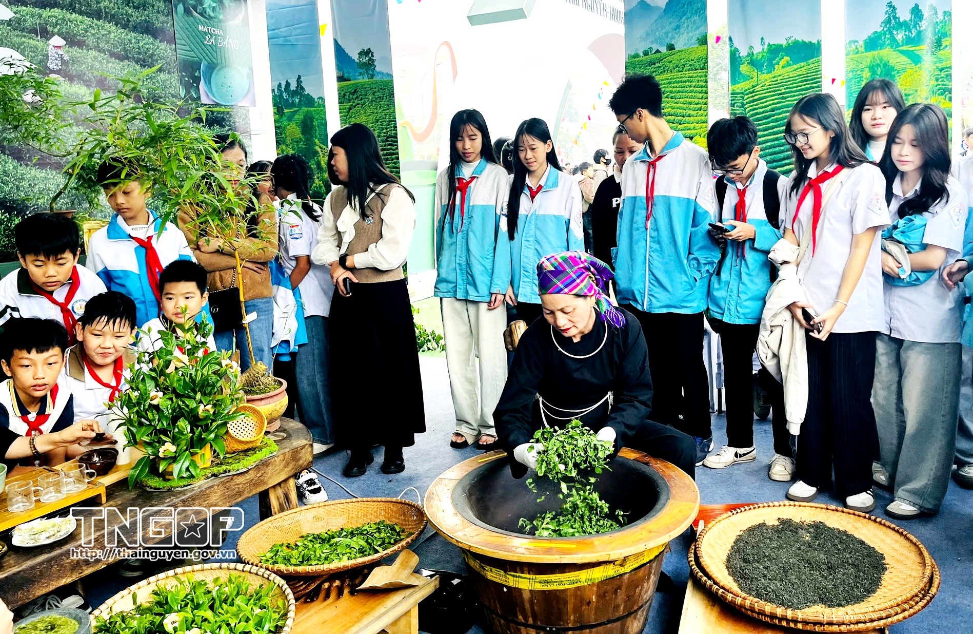 Lan tỏa tình yêu cây chè quê hương trong học sinh