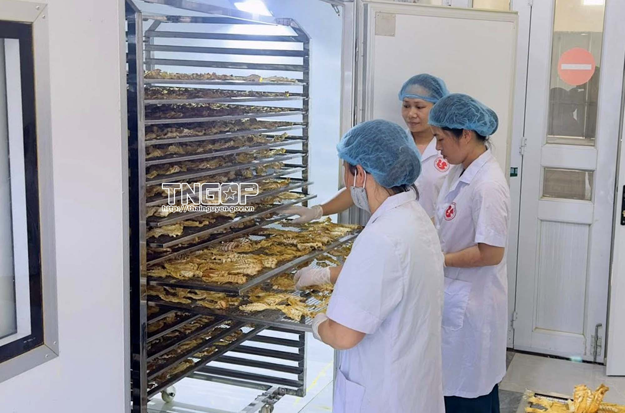 Xây dựng thương hiệu tạo đòn bẩy cho hàng hóa địa phương