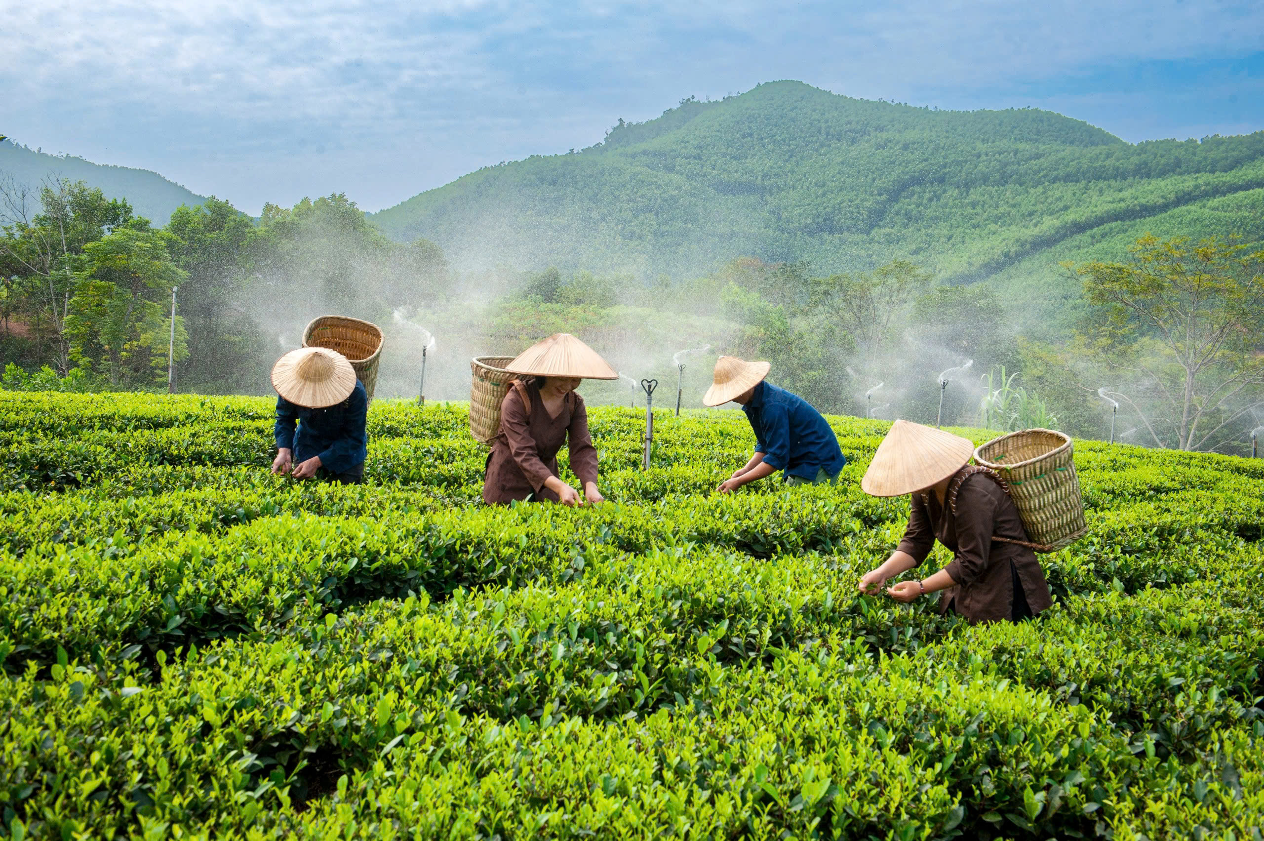 Ban Thường vụ Tỉnh ủy ban hành Kế hoạch triển khai phát triển toàn diện khu vực nông thôn năm 2026
