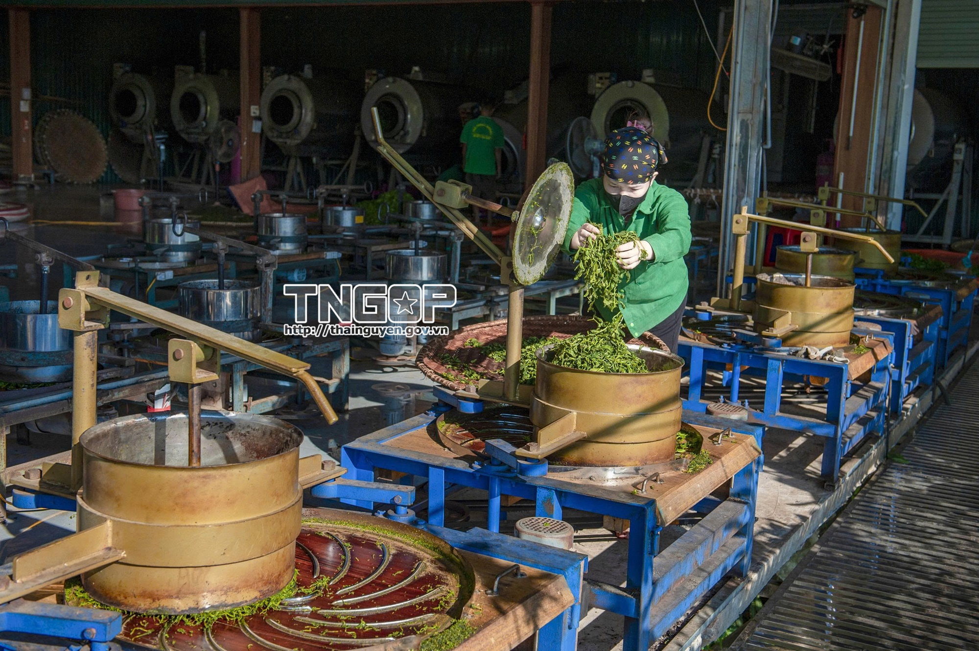 Phê duyệt Chương trình khuyến công địa phương giai đoạn 2026 - 2030 trên địa bàn tỉnh