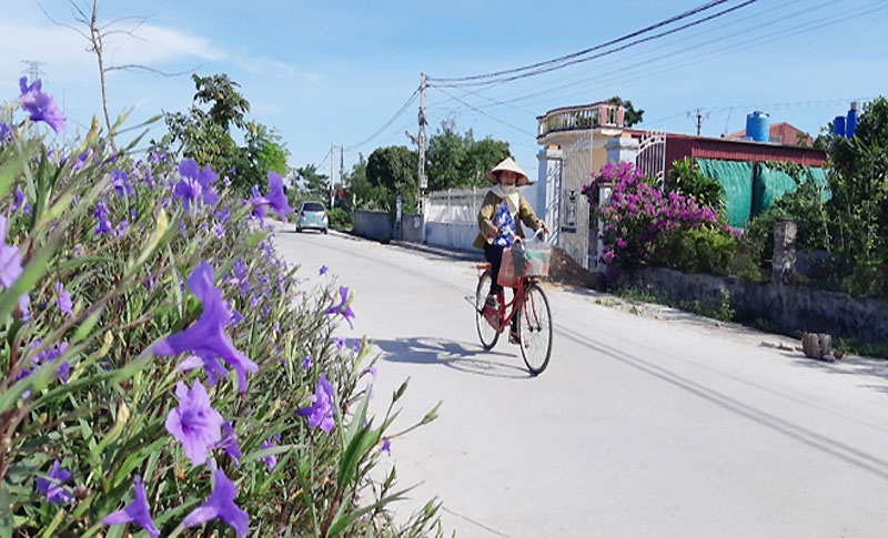 Thái Bình xây dựng nhiều “Tuyến đê kiểu mẫu”
