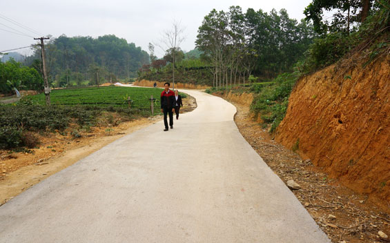 Khởi sắc từ những con đường mới