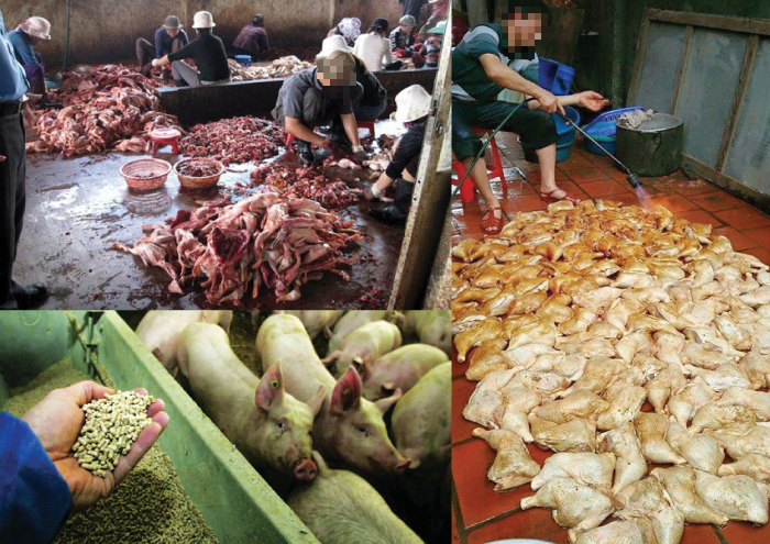Những tác hại kinh hoàng với sức khoẻ khi dùng thực phẩm bẩn