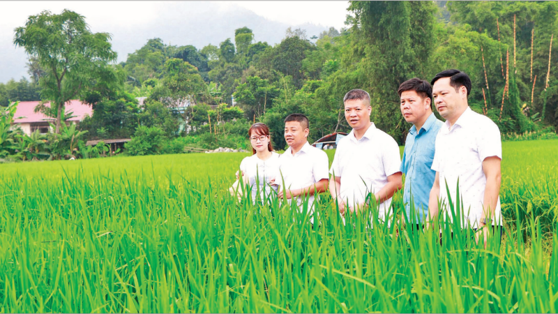 Đổi mới sáng tạo ở Thái Nguyên