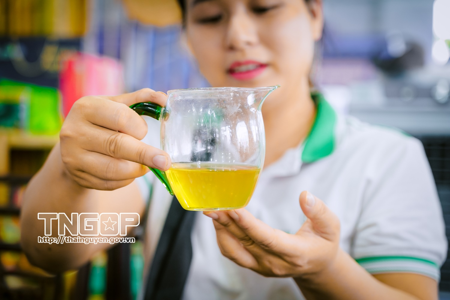 Hồn quê, vị núi, sương mai - ấy là trà Thái Nguyên