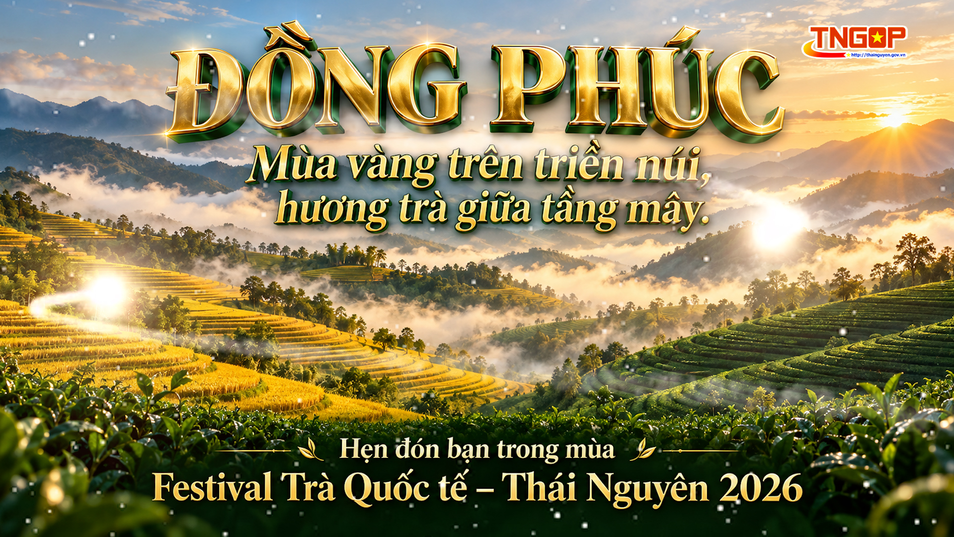  Đồng Phúc mùa vàng - Hương trà giữa tầng mây
