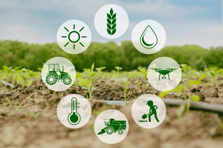Cắt giảm, đơn giản hóa điều kiện kinh doanh của 11 lĩnh vực nông nghiệp và môi trường