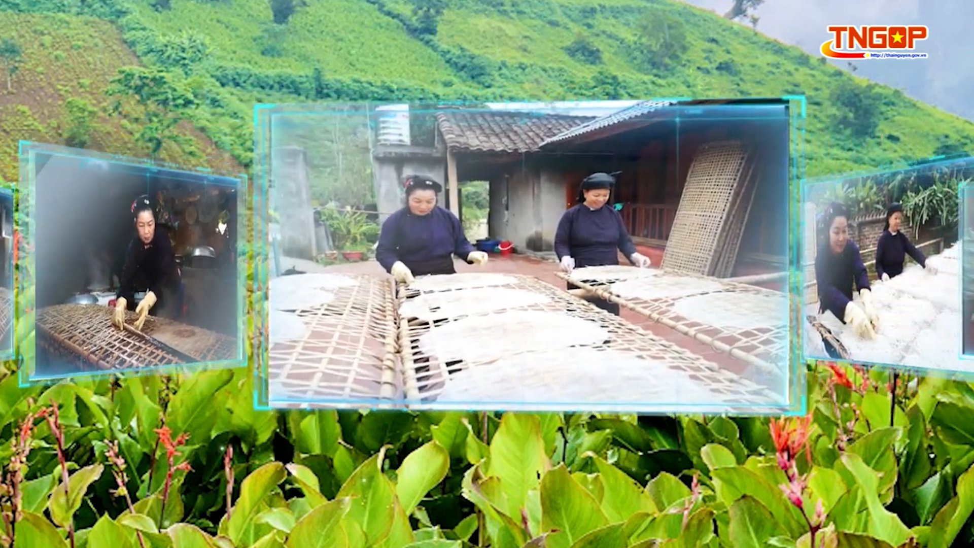Giữ nghề miến tráng tay ở Bản Cào