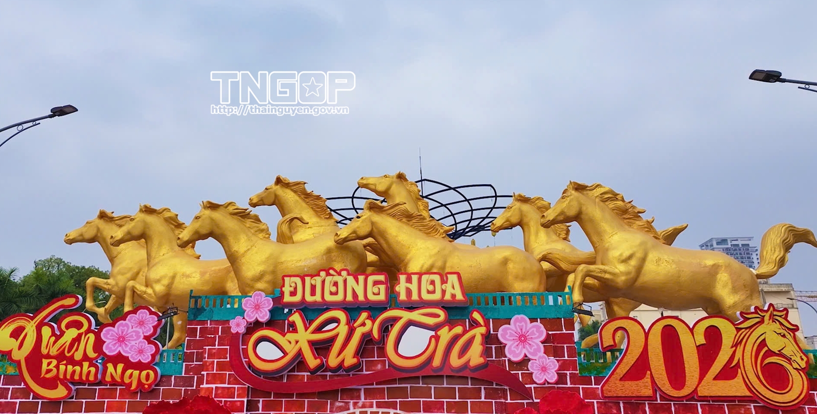 Đường hoa xứ trà - điểm check-in ấn tượng đầu Xuân Bính Ngọ 2026