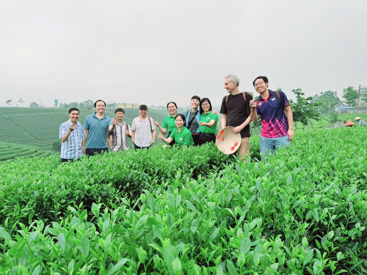 Chè Thái Nguyên: Từ giá trị kinh tế đến chiều sâu văn hóa