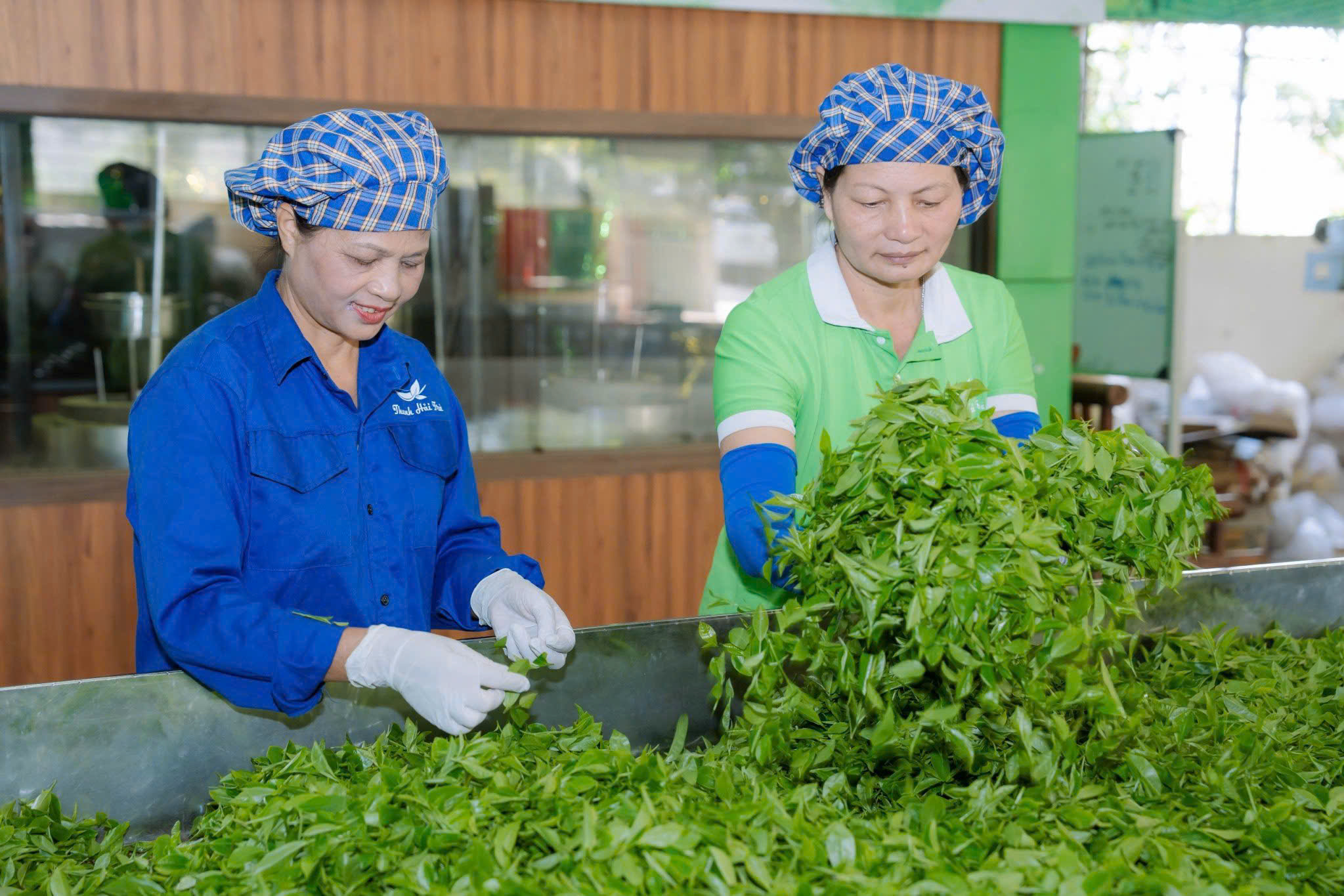 Thái Nguyên triển khai phát triển nông thôn toàn diện năm 2026