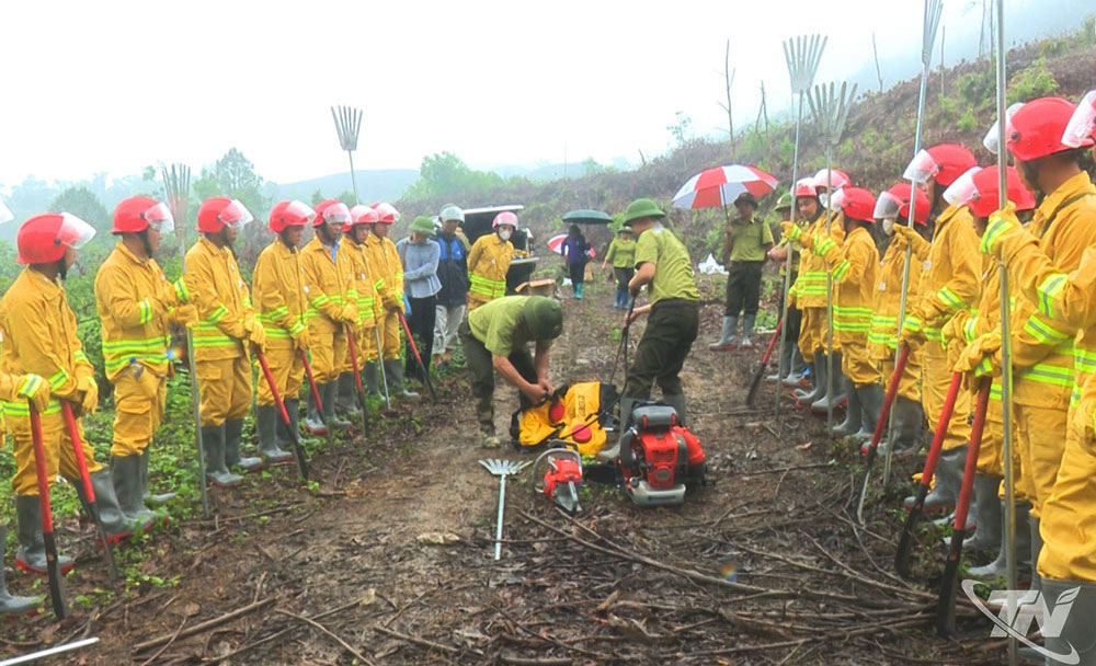 Tăng cường quản lý, bảo vệ và phát triển rừng năm 2026