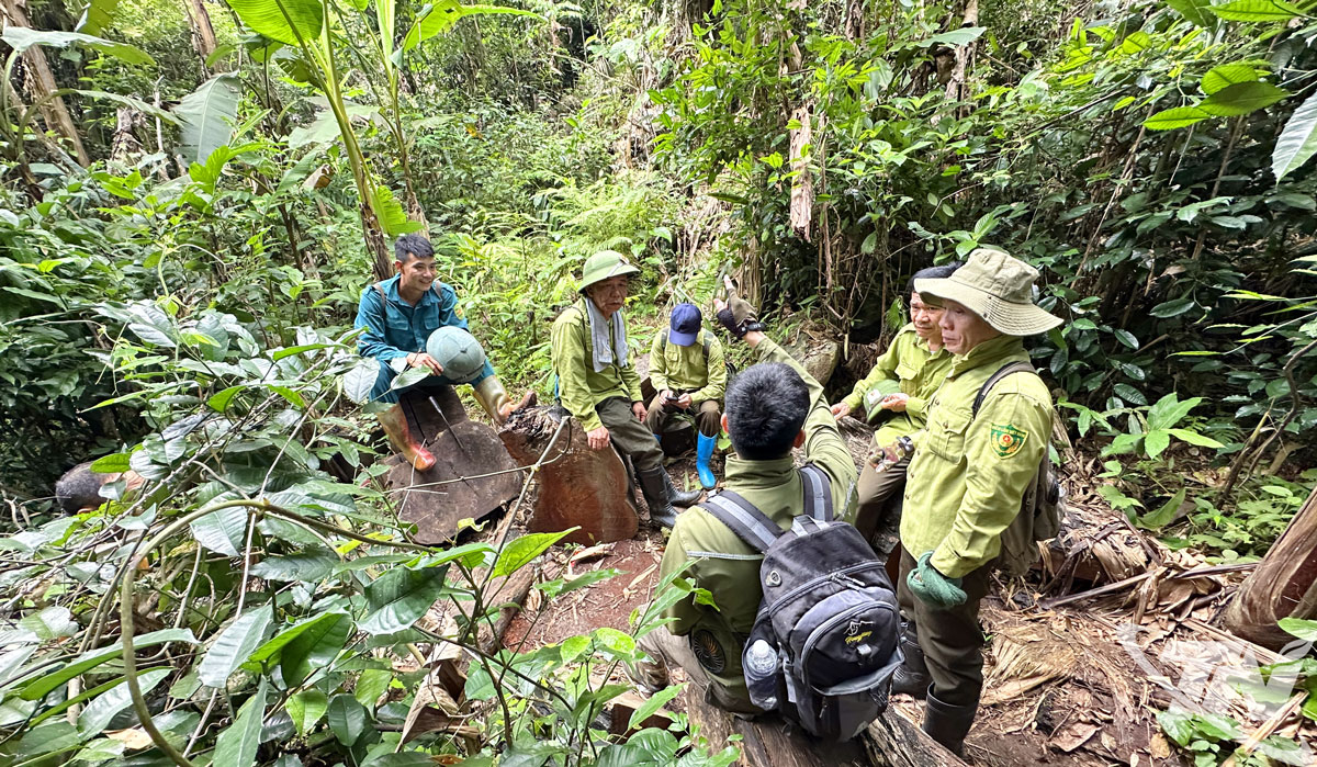 Tăng cường công tác quản lý, bảo vệ rừng trên địa bàn Vườn Quốc gia Ba Bể